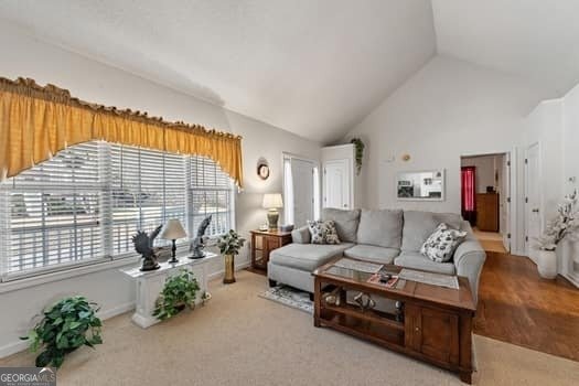 391 Hickory Lake Drive Acworth - 13