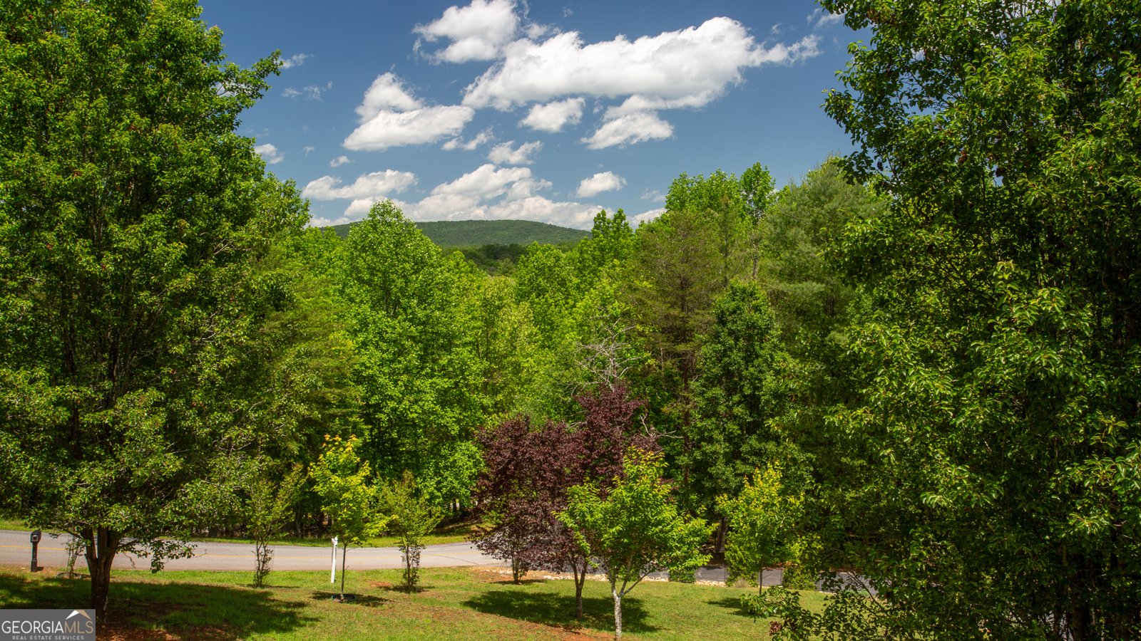2656 Panorama Drive Sautee Nacoochee - 8
