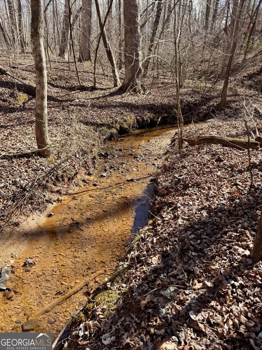 749 Hazel Creek Road Mount Airy - 3