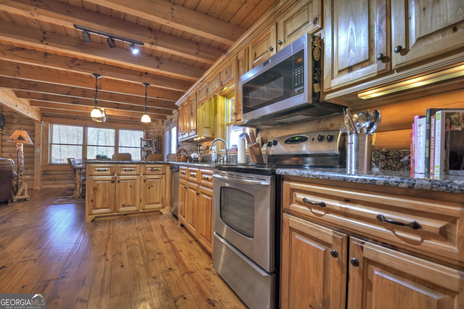 381 Morley Court Ellijay - 10