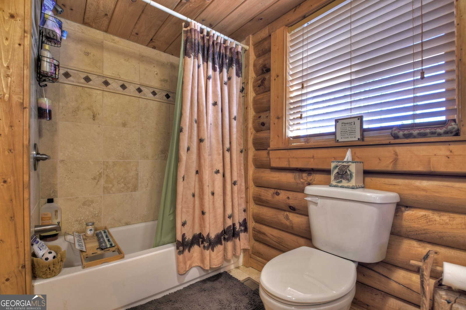 381 Morley Court Ellijay - 26