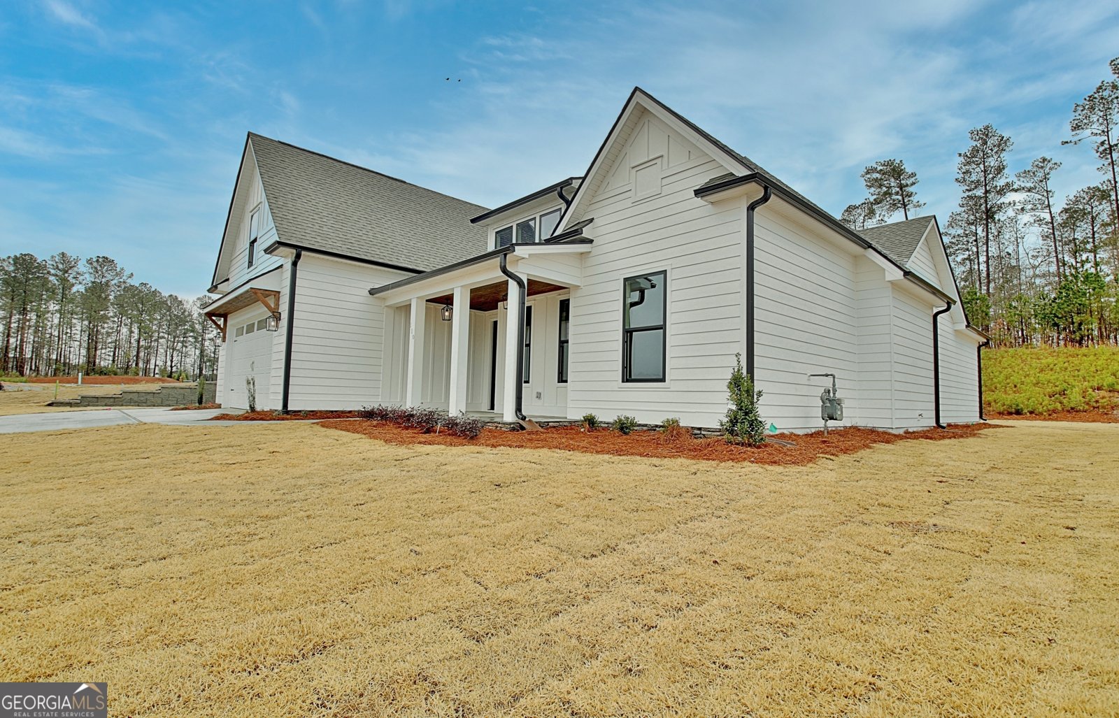 110 Greylock Creek Drive Senoia - 3