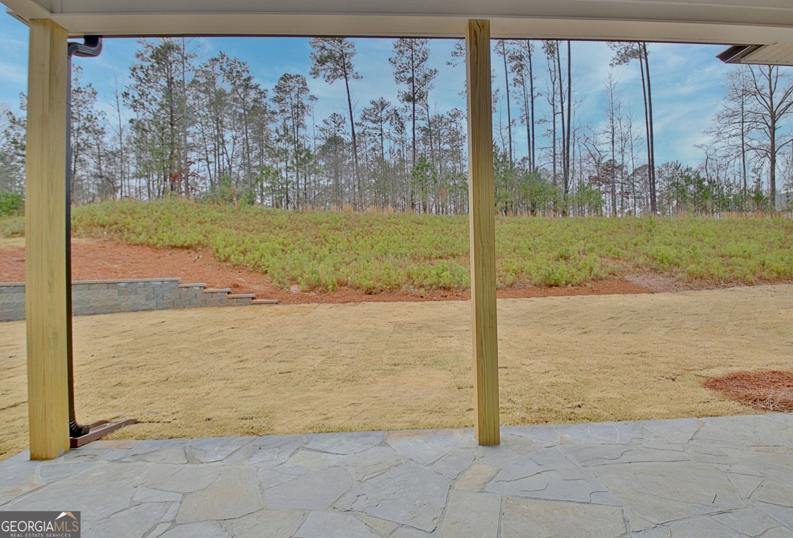 110 Greylock Creek Drive Senoia - 66