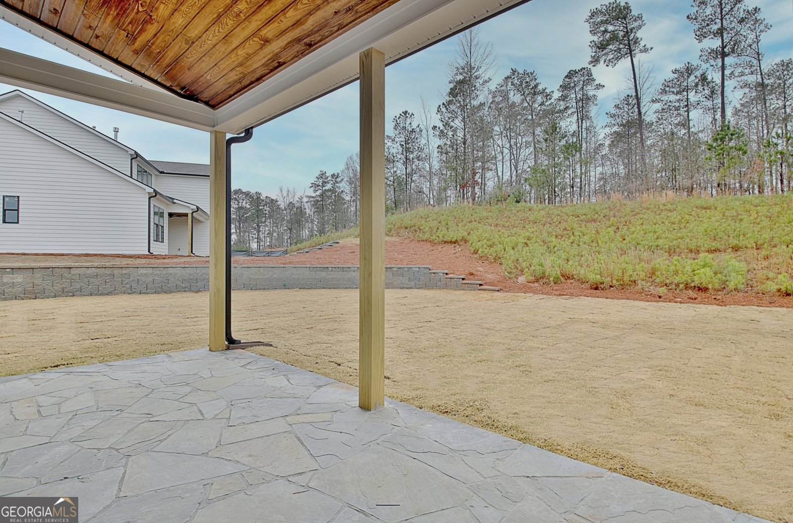 110 Greylock Creek Drive Senoia - 67