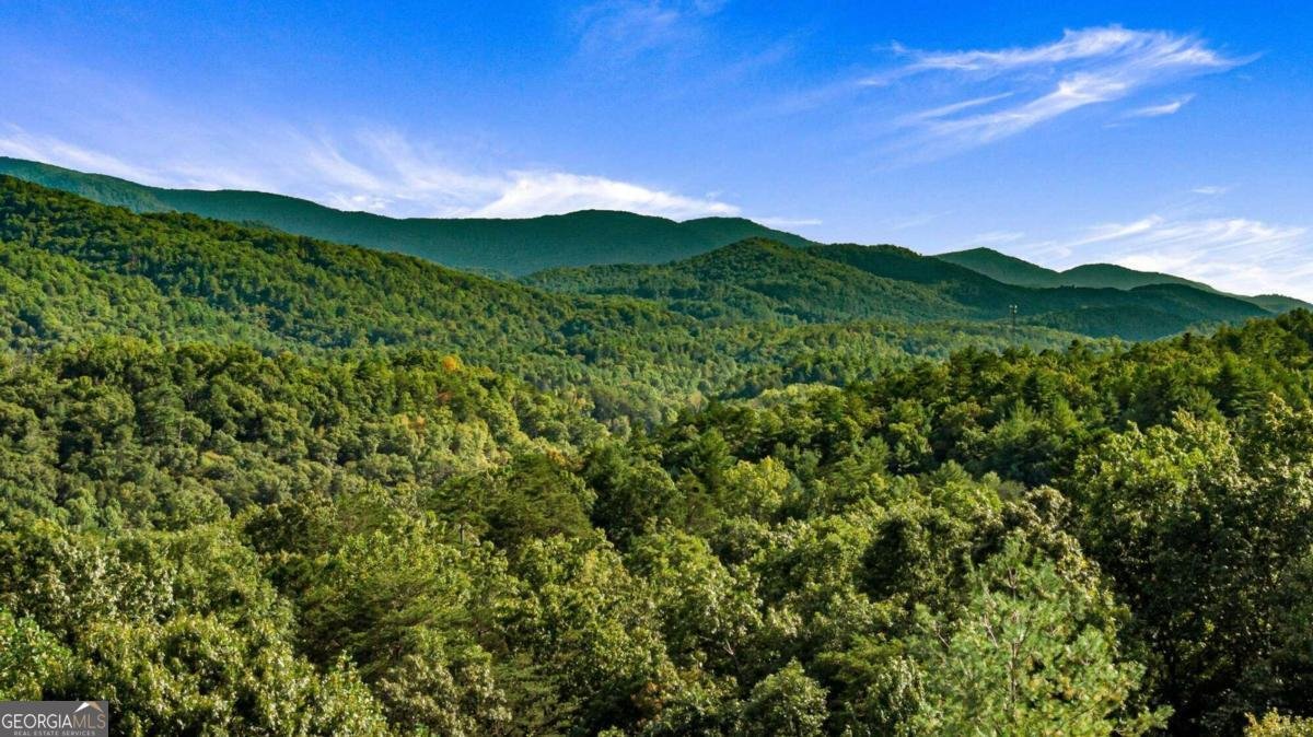 351 South Dream Catcher Blue Ridge - 50