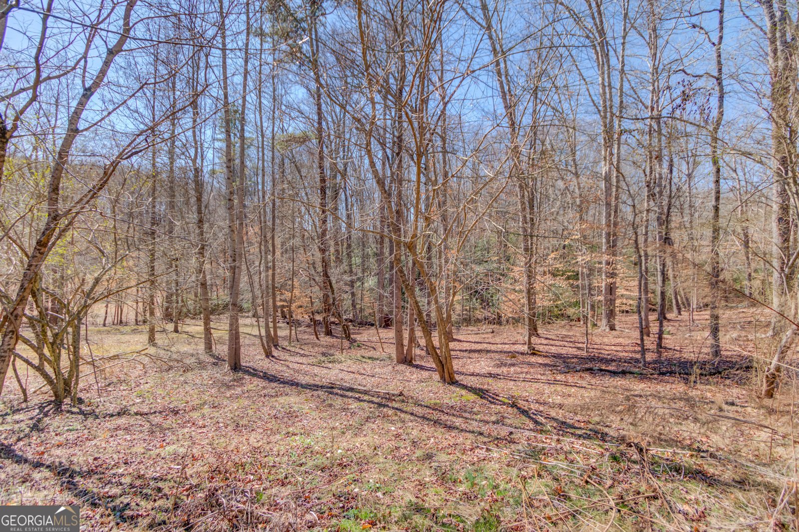5016 Deer Creek Court Flowery Branch - 73