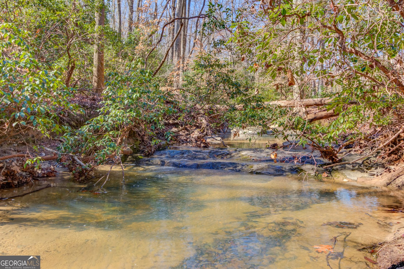 5016 Deer Creek Court Flowery Branch - 74