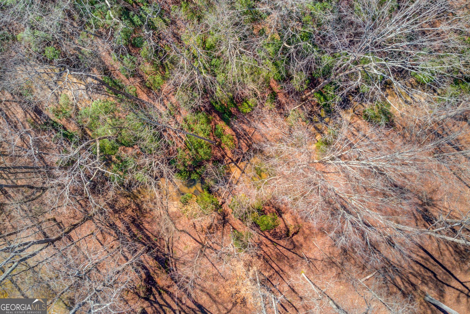 5016 Deer Creek Court Flowery Branch - 75