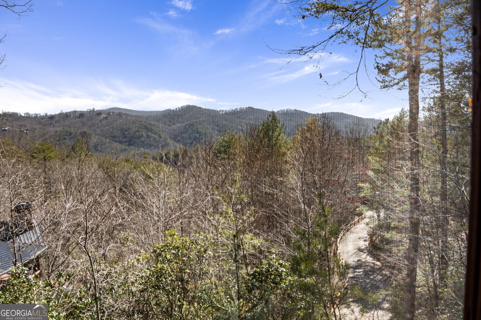 399 Dream Catcher Blue Ridge - 81