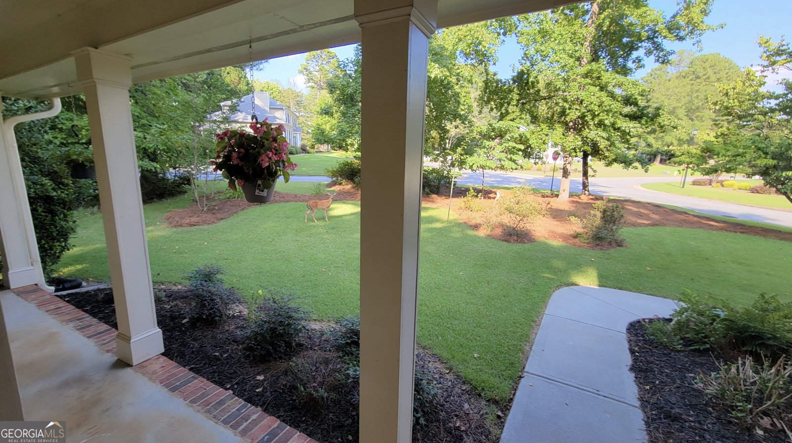 201 Lanyard Loop Peachtree City - 4