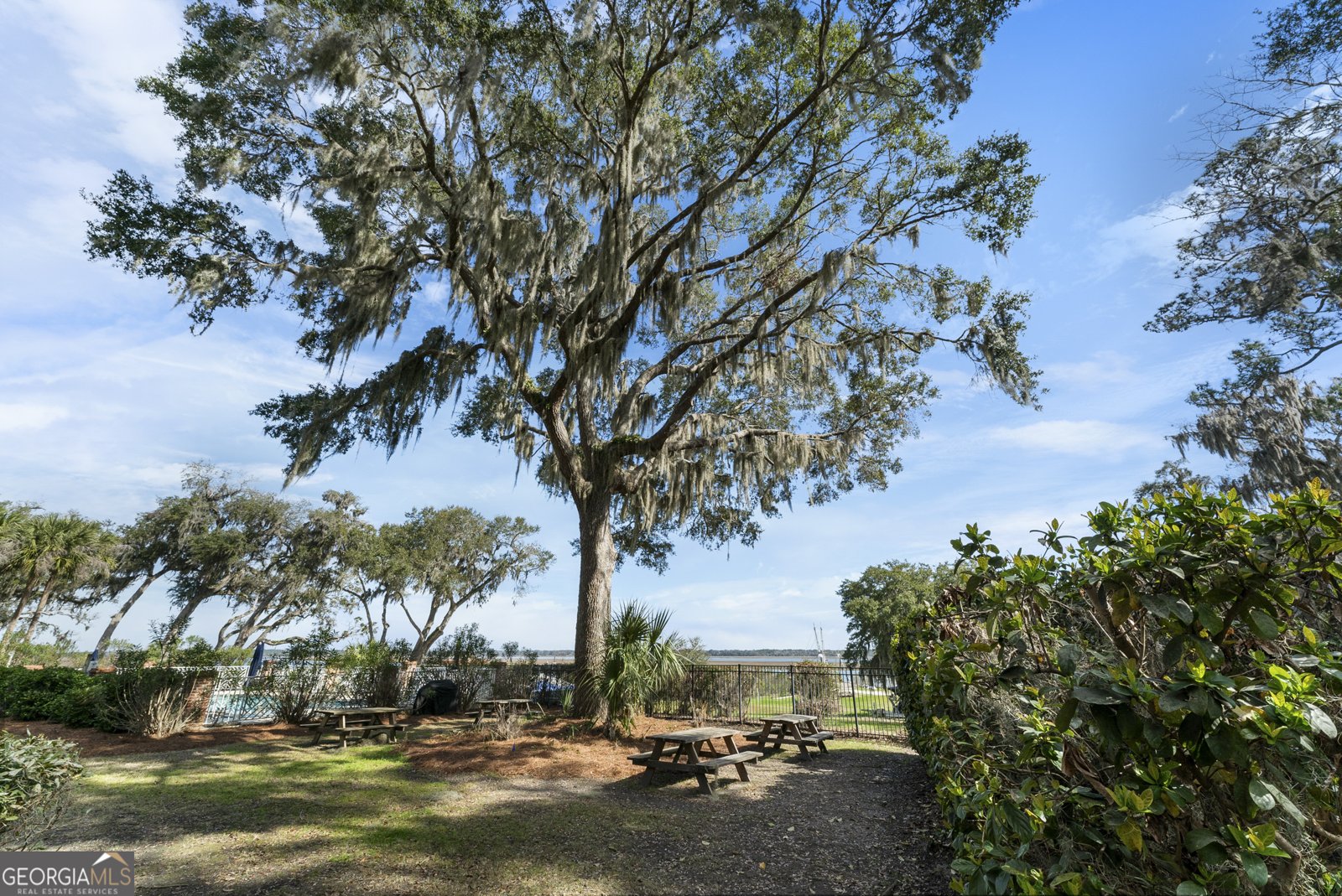 66 Galley Lane Midway - 26