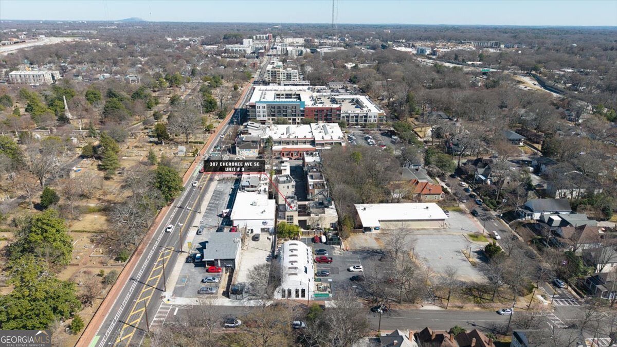 307 Cherokee Avenue Atlanta - 54