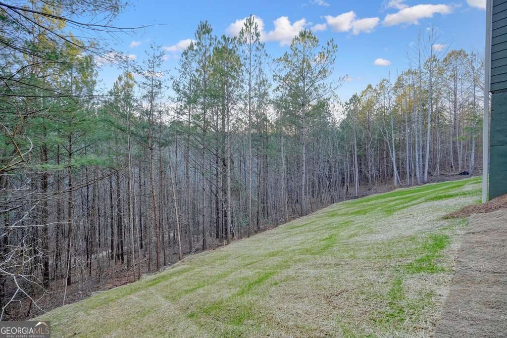 348 Redfield Way Jasper - 60