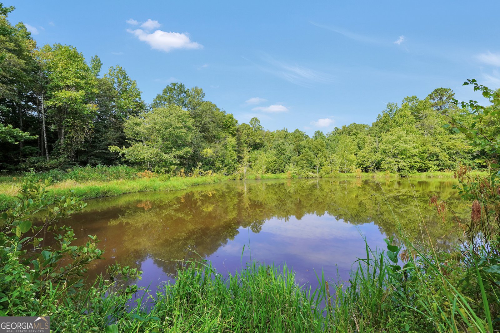 2186 Williamson Zebulon Road Williamson - 54