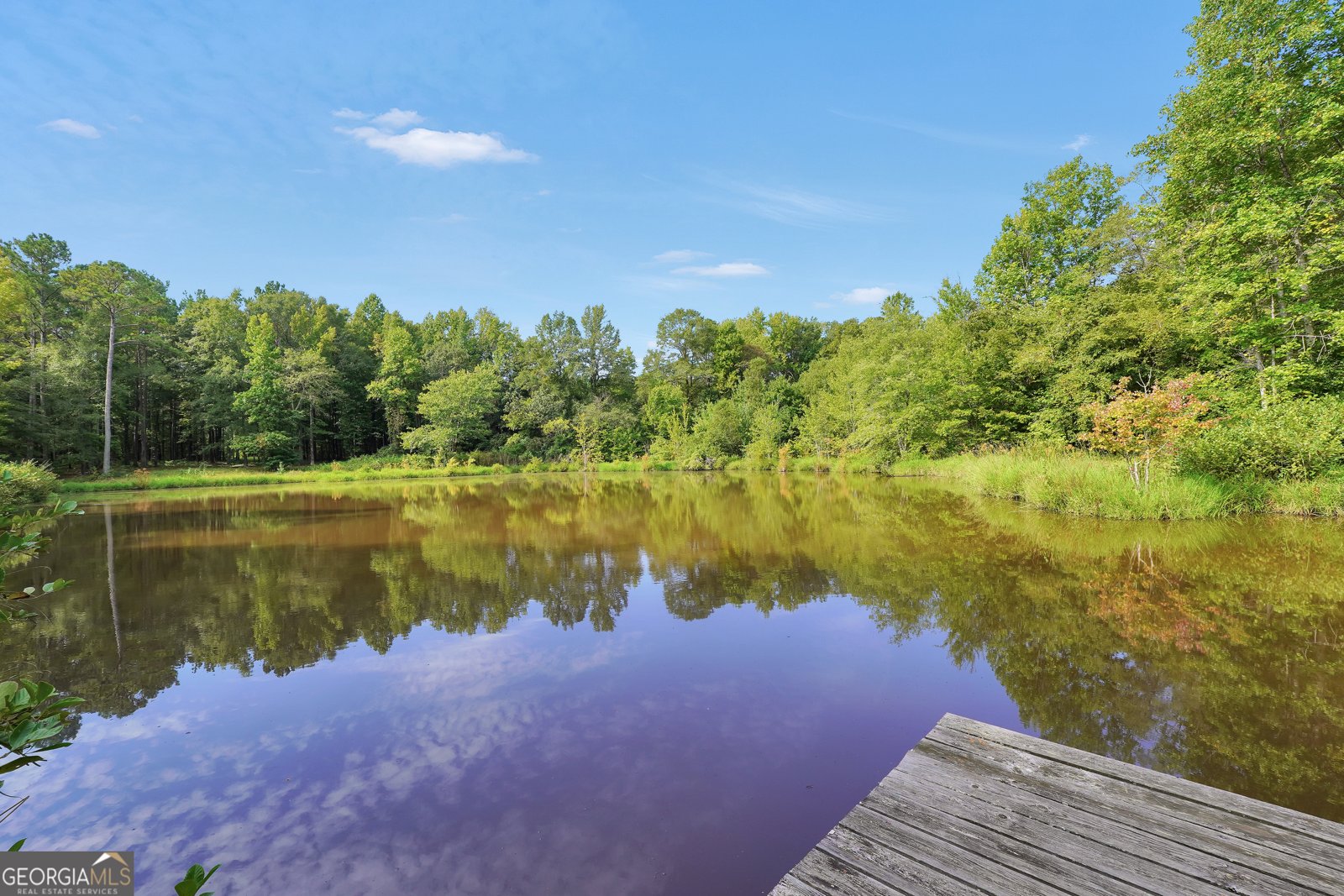 2186 Williamson Zebulon Road Williamson - 56