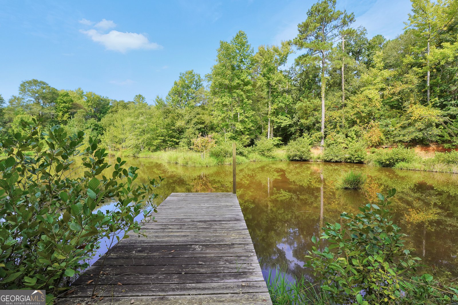 2186 Williamson Zebulon Road Williamson - 58