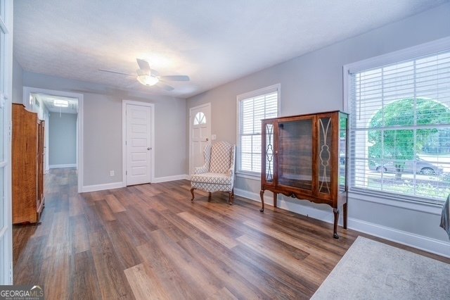 411 Burke Circle Mcdonough - 35