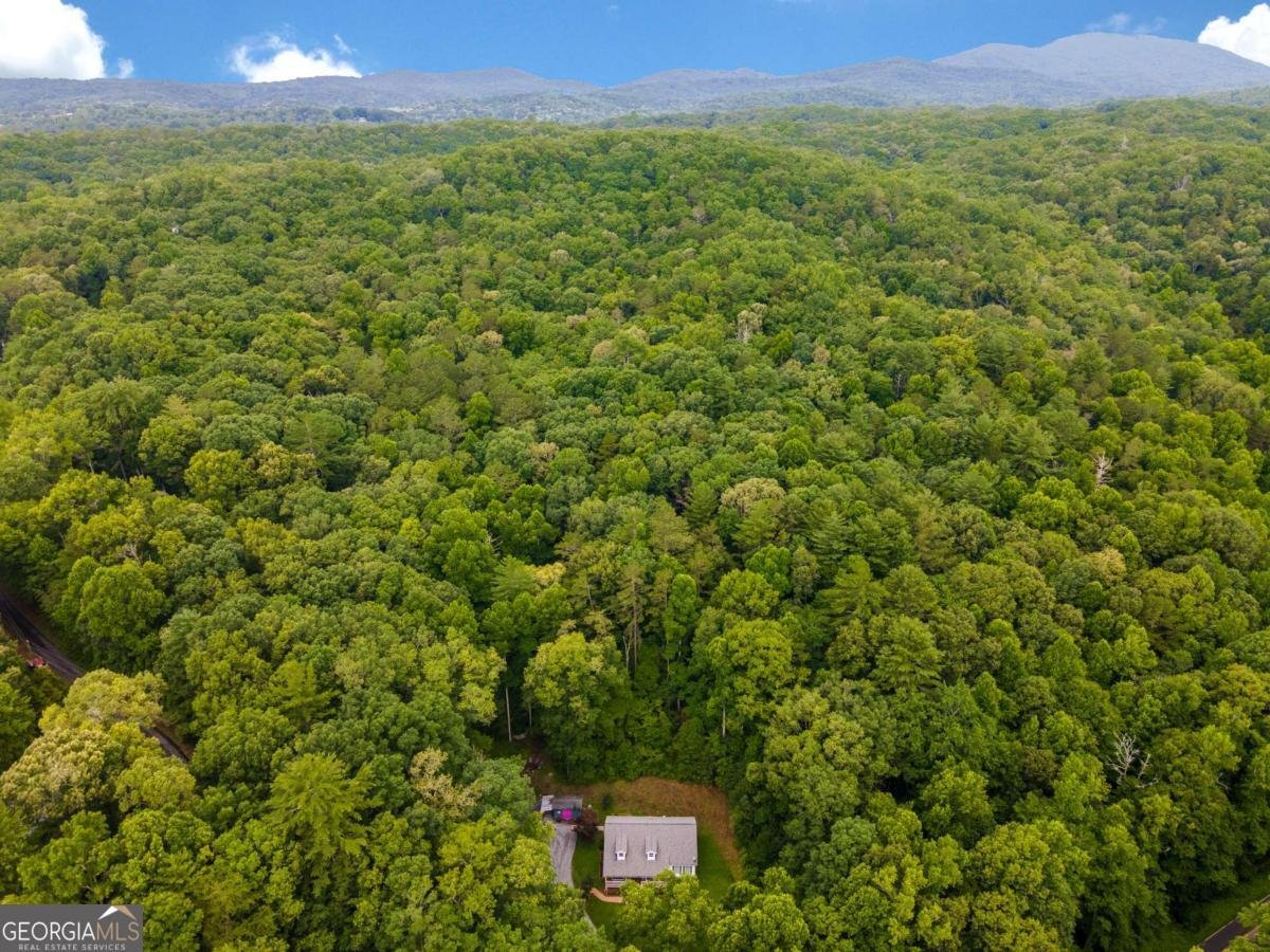 3477 Boardtown Road Ellijay - 47
