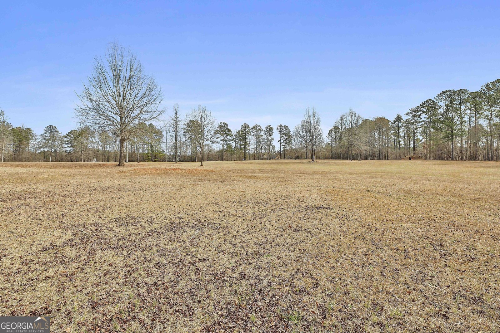 334 Whispering Pines Trail Senoia - 47