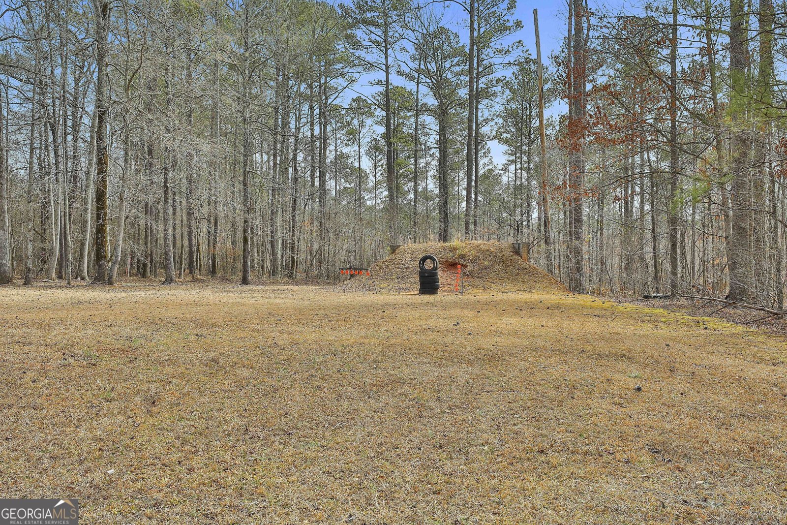 334 Whispering Pines Trail Senoia - 49