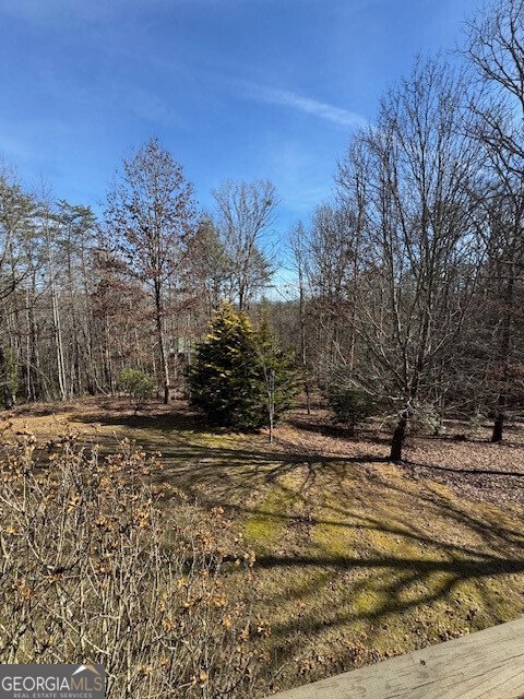 287 Bell Lane Mineral Bluff - 34