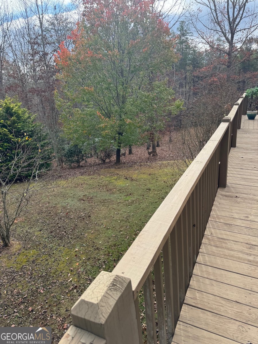 287 Bell Lane Mineral Bluff - 39