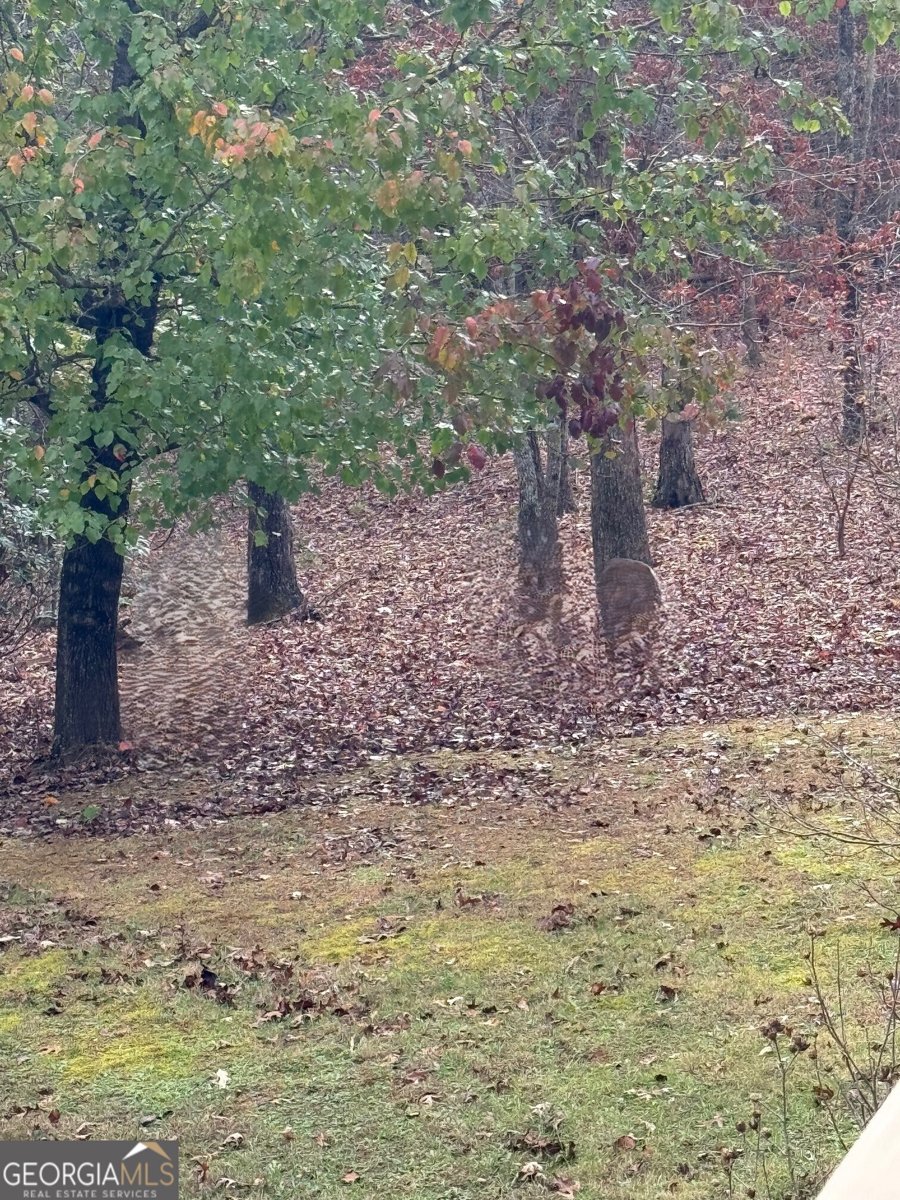 287 Bell Lane Mineral Bluff - 40