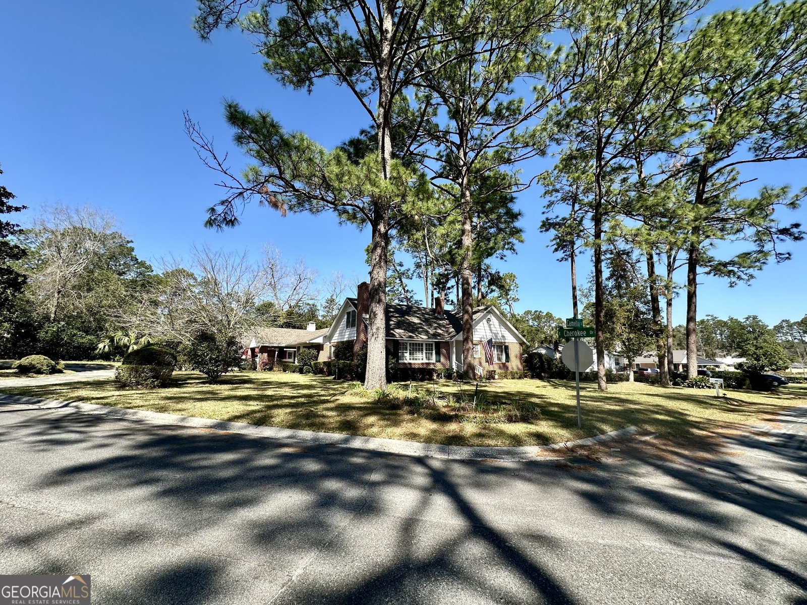 1613 Camellia Drive Waycross - 97