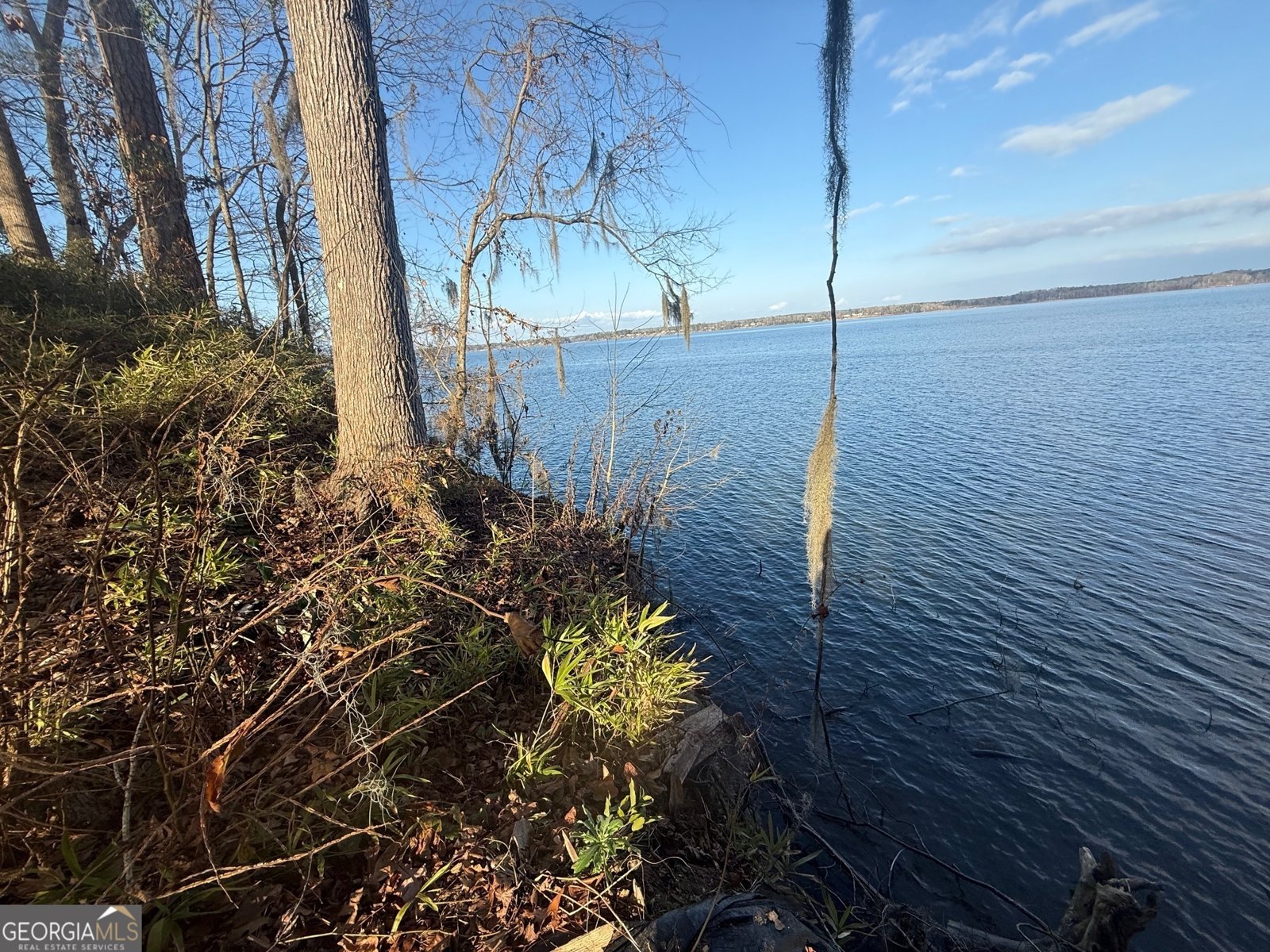 2123 Calhoun Drive Abbeville - 11