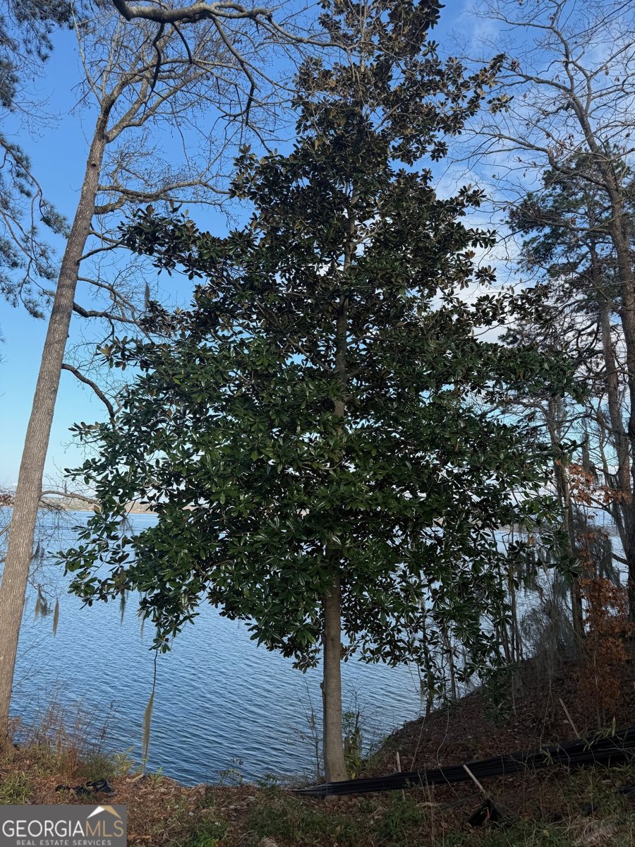 2123 Calhoun Drive Abbeville - 18