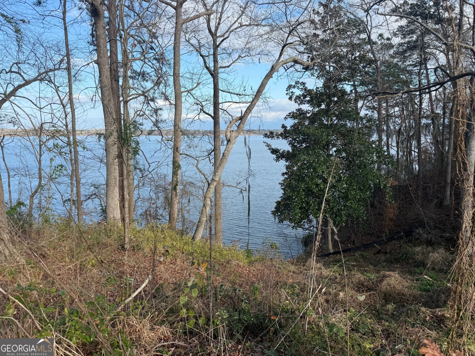 2123 Calhoun Drive Abbeville - 19