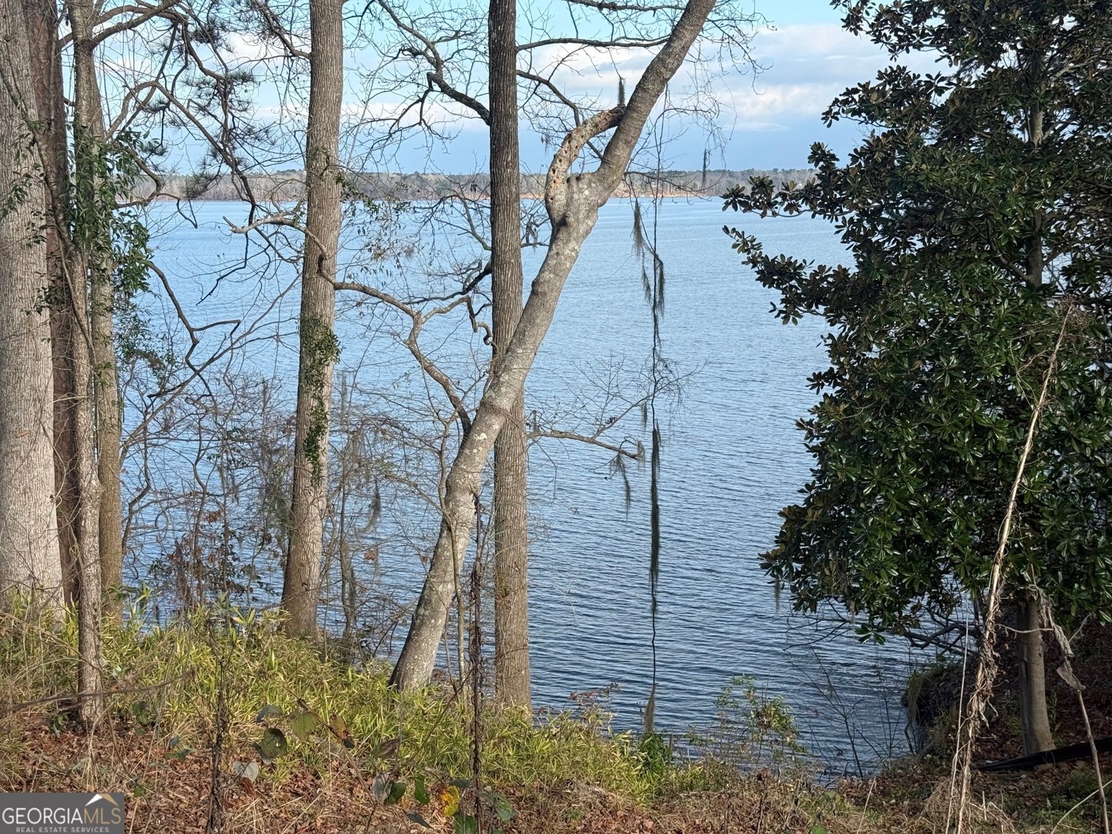 2123 Calhoun Drive Abbeville - 2