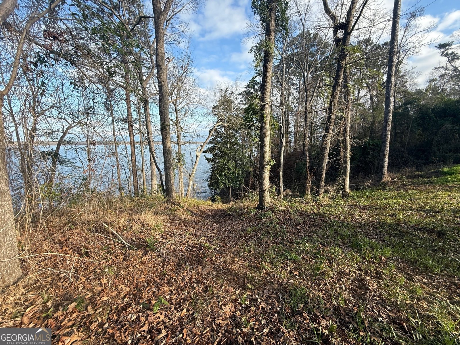 2123 Calhoun Drive Abbeville - 21