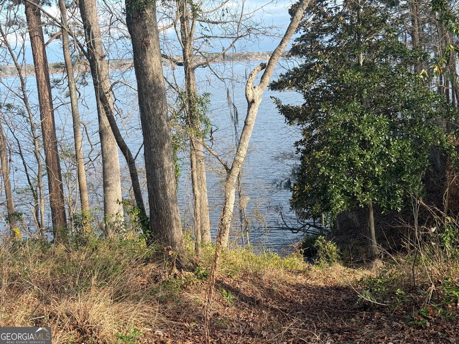 2123 Calhoun Drive Abbeville - 22