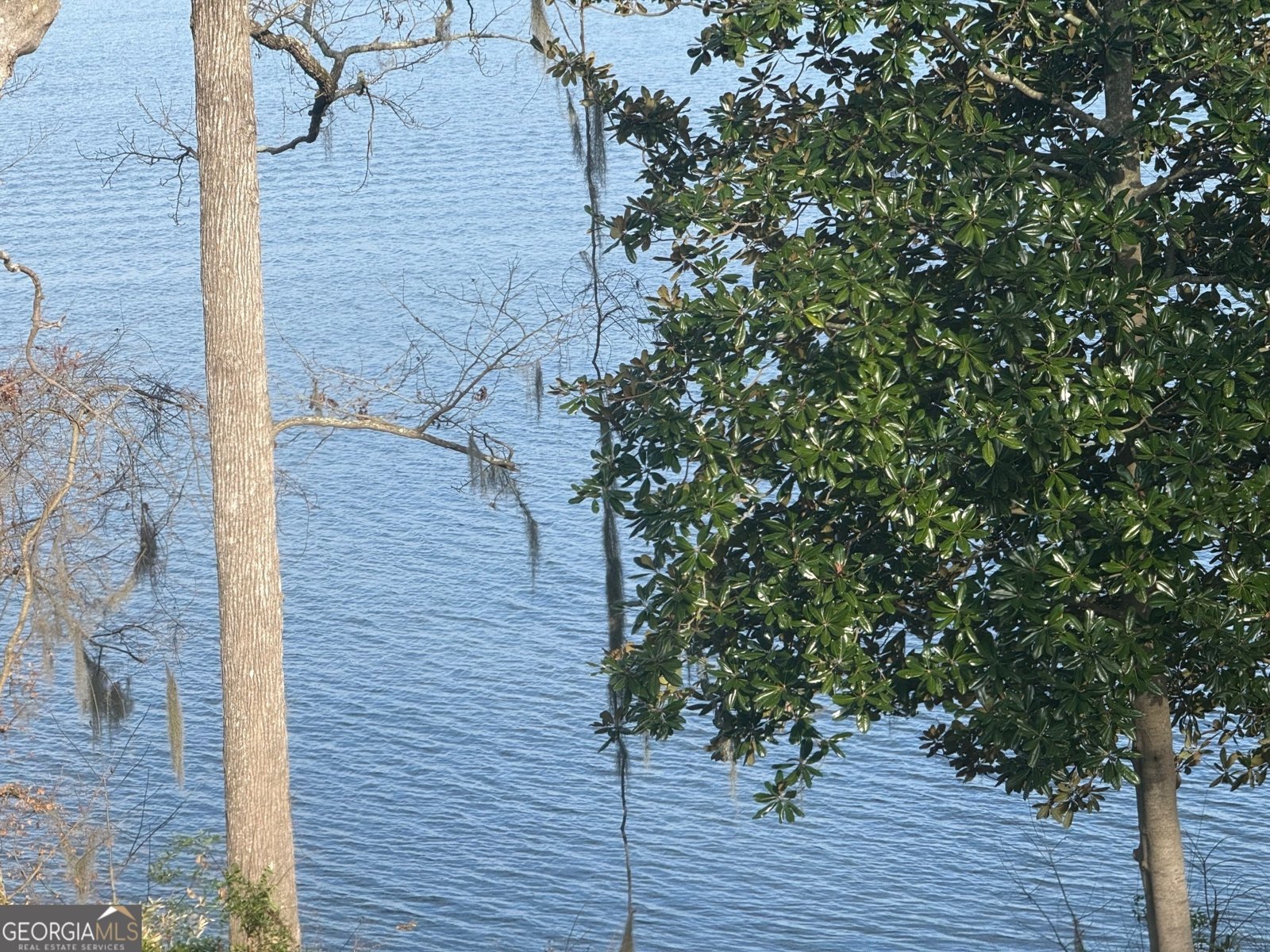 2123 Calhoun Drive Abbeville - 3
