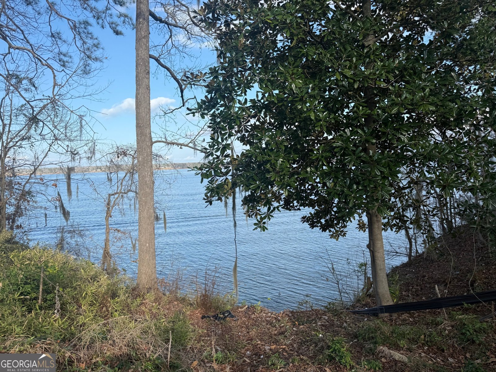 2123 Calhoun Drive Abbeville - 5