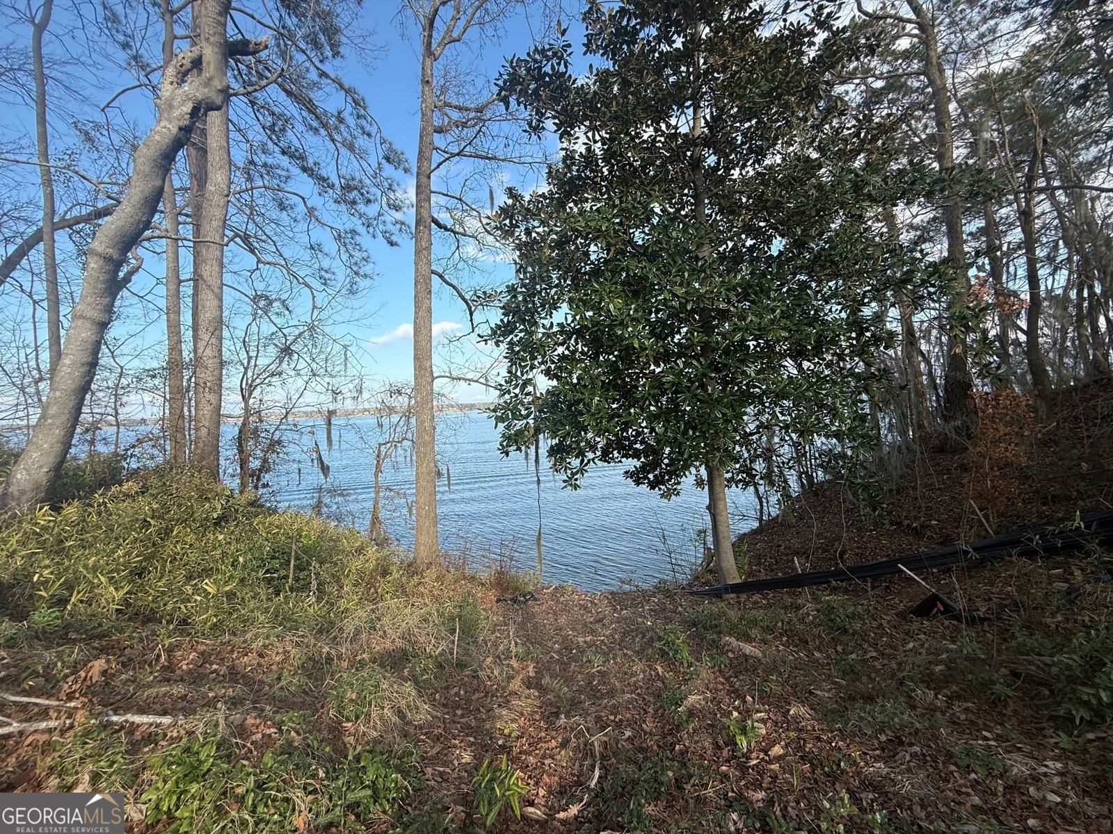 2123 Calhoun Drive Abbeville - 6