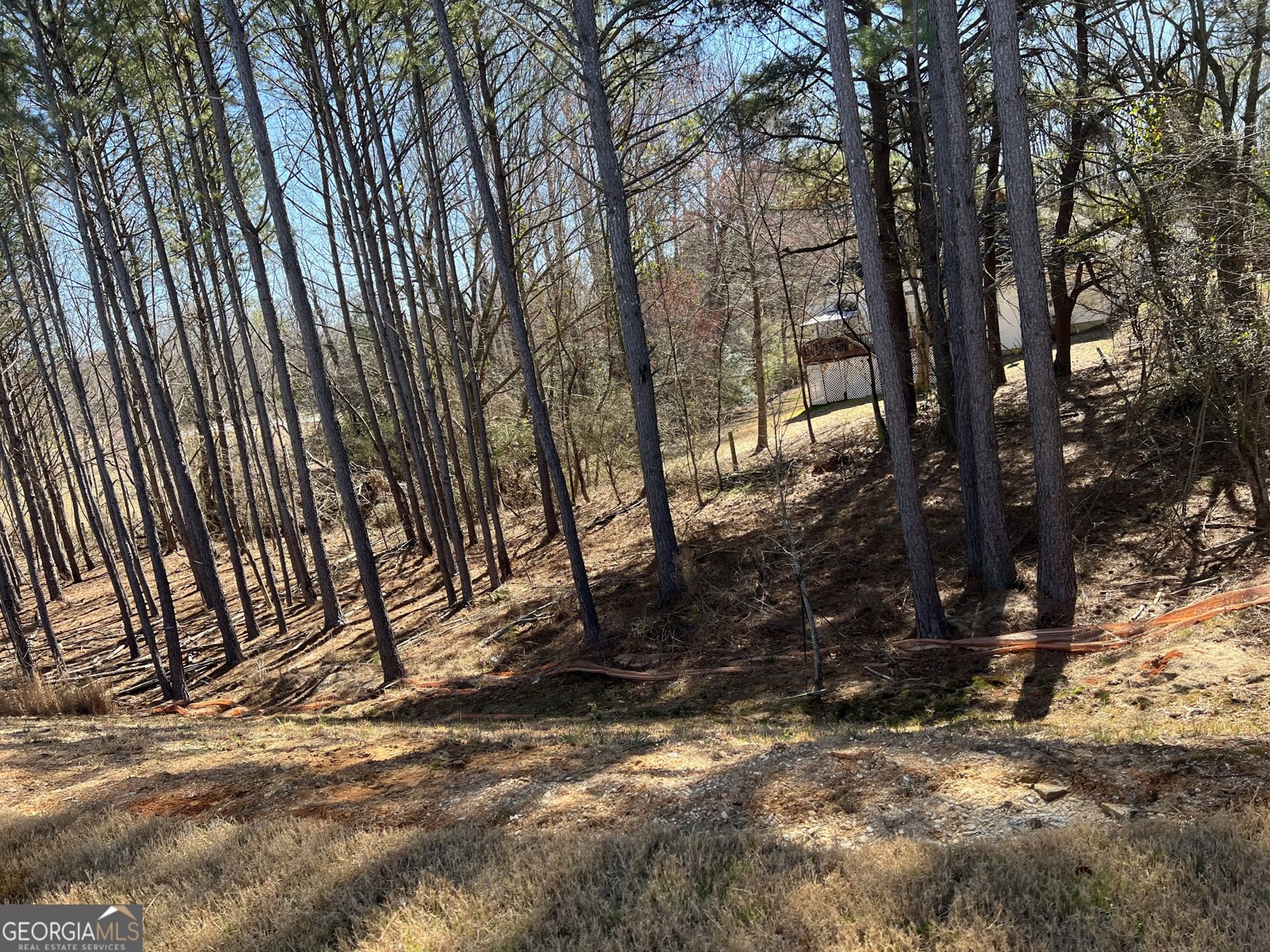 4161 Dean Grove Way Loganville - 52