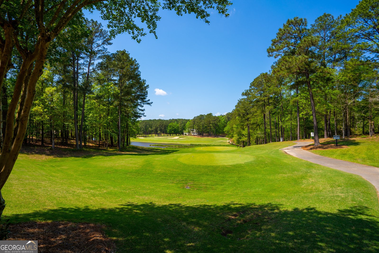 1031 Spoon Drive Greensboro - 36