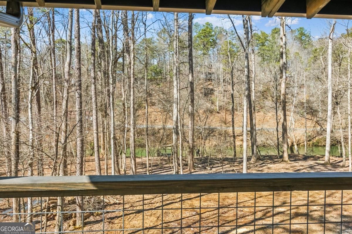 1227 Zenith Trail Ellijay - 24