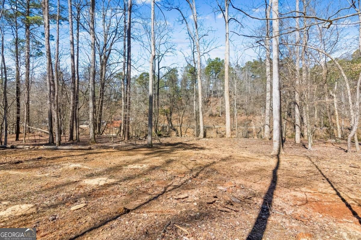 1227 Zenith Trail Ellijay - 49