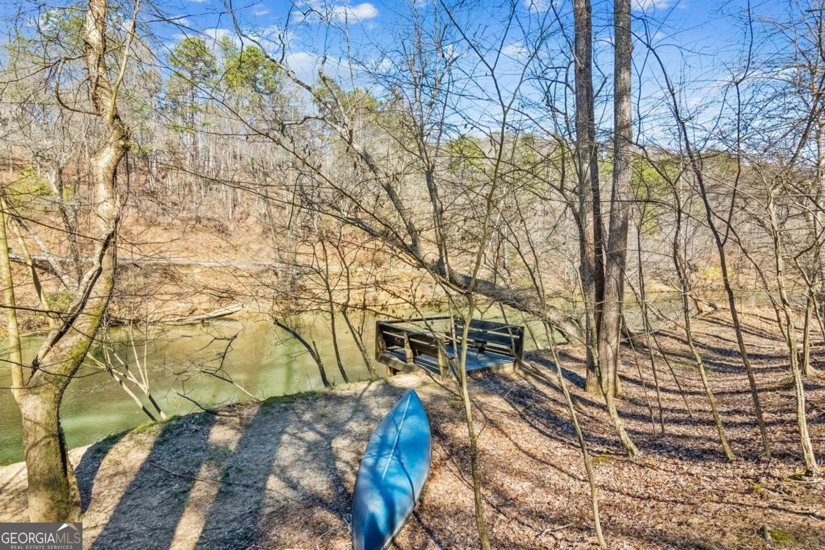 1227 Zenith Trail Ellijay - 50