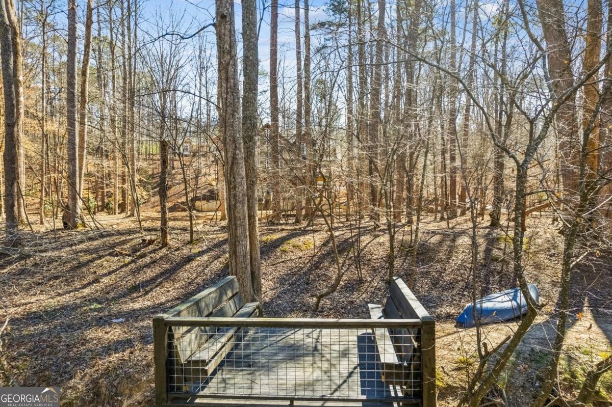 1227 Zenith Trail Ellijay - 53