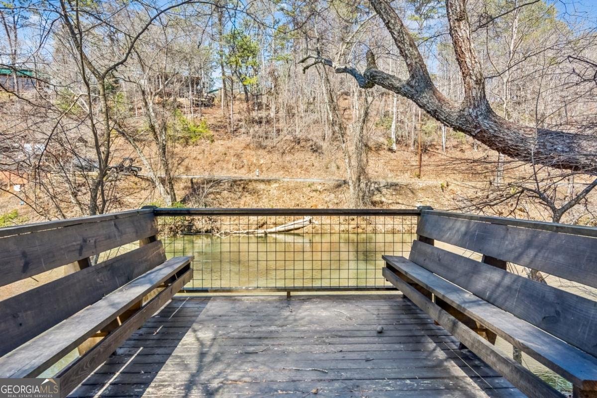 1227 Zenith Trail Ellijay - 54