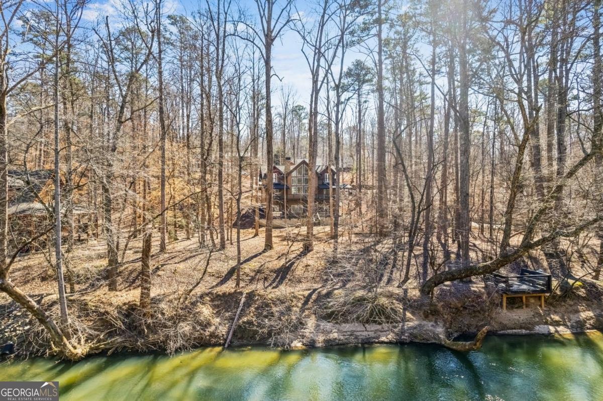 1227 Zenith Trail Ellijay - 57
