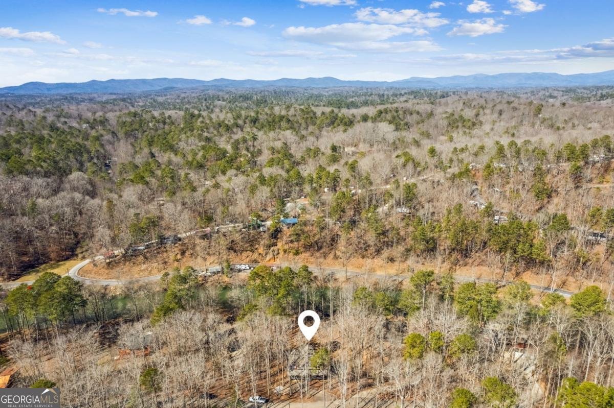 1227 Zenith Trail Ellijay - 58