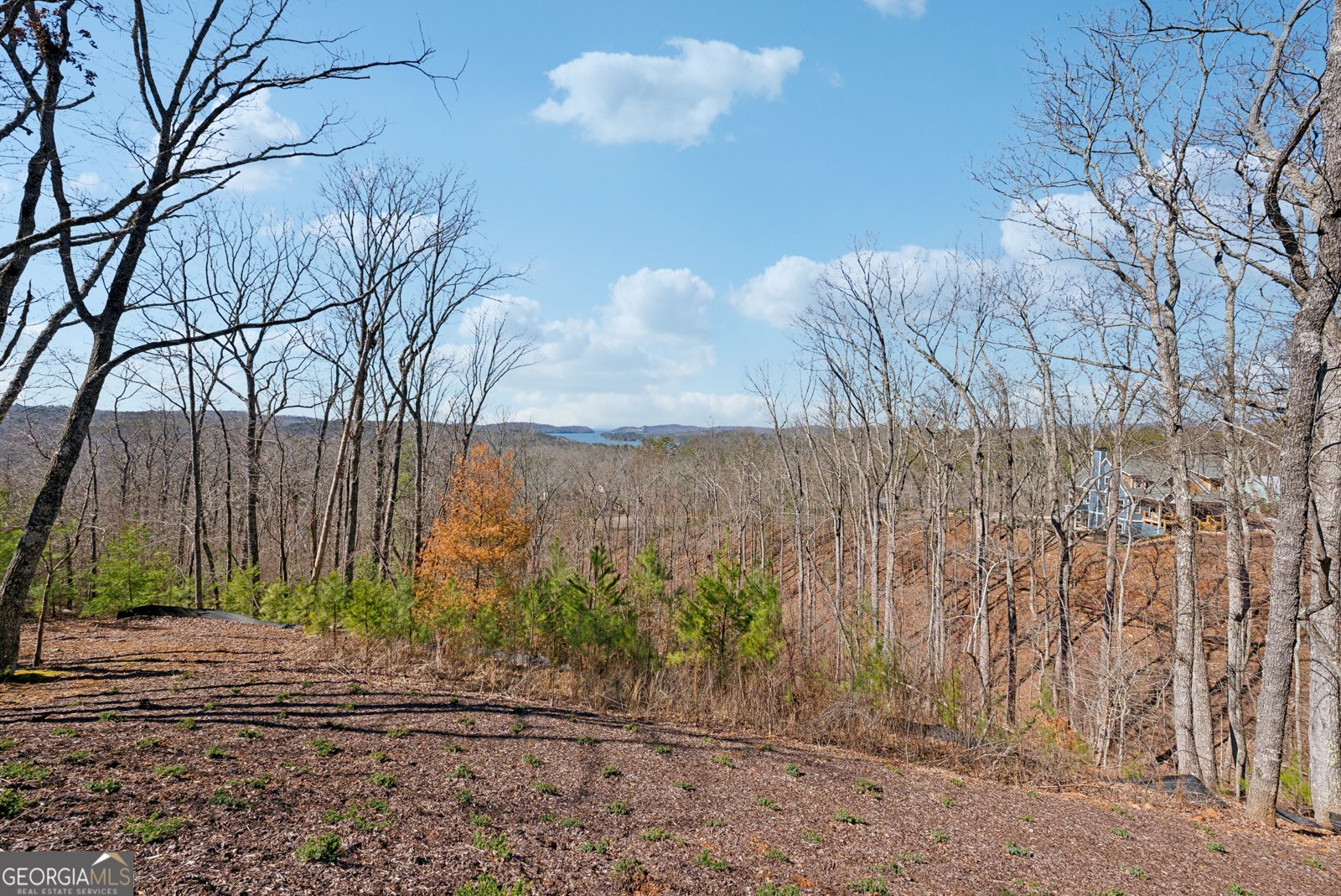 100 Carters View Drive Ellijay - 58