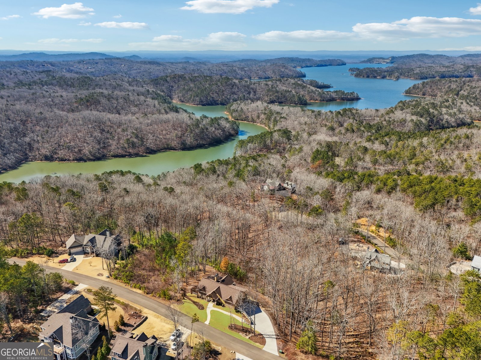 100 Carters View Drive Ellijay - 61