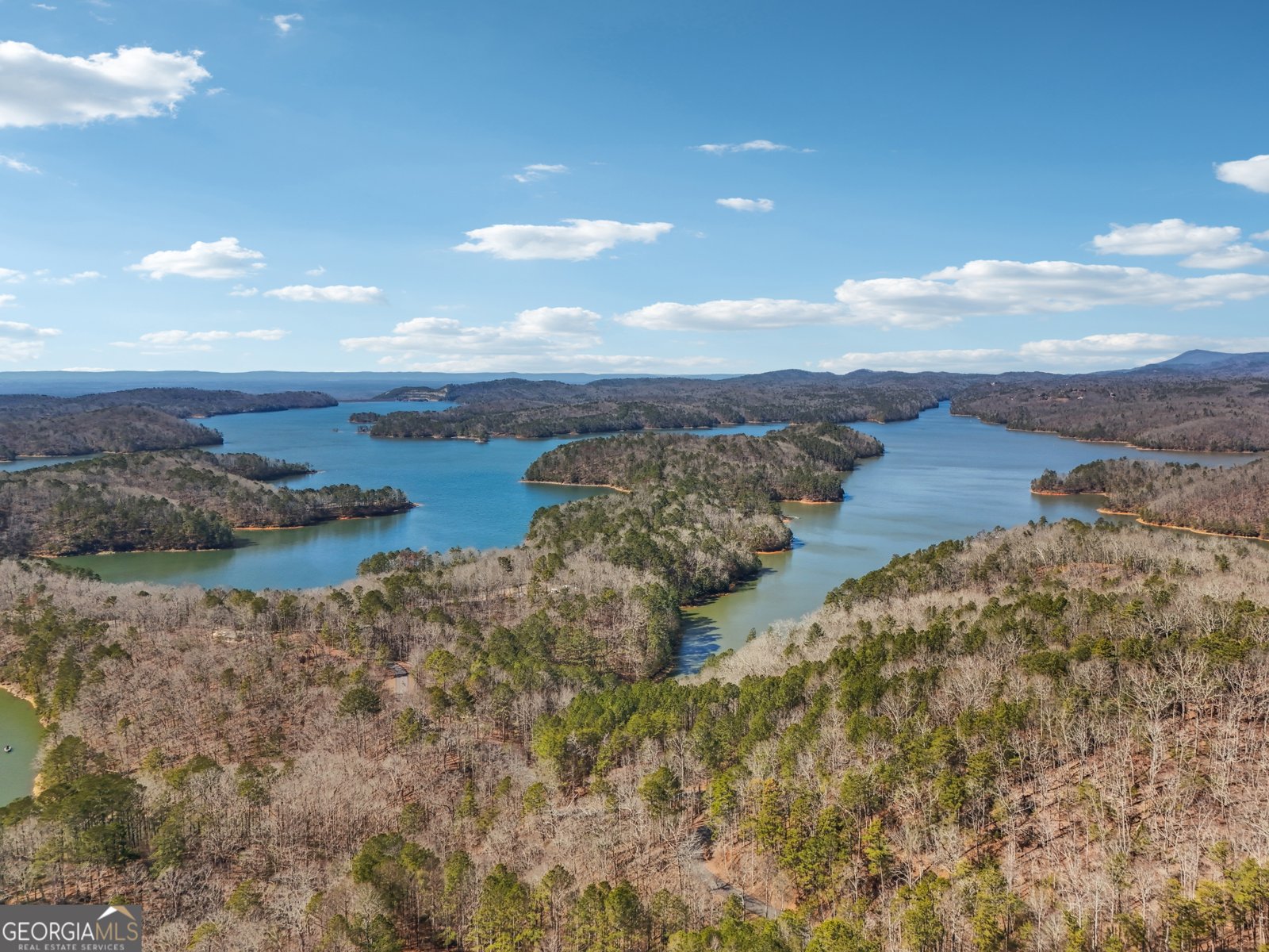 100 Carters View Drive Ellijay - 63