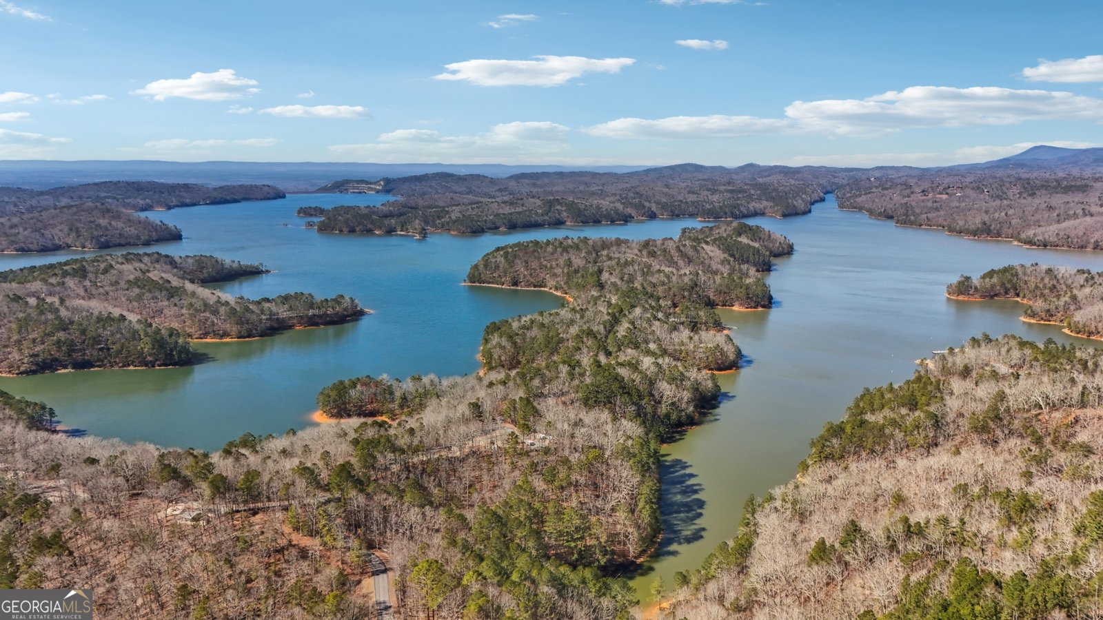 100 Carters View Drive Ellijay - 64